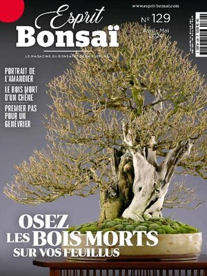 cover image of Esprit Bonsai